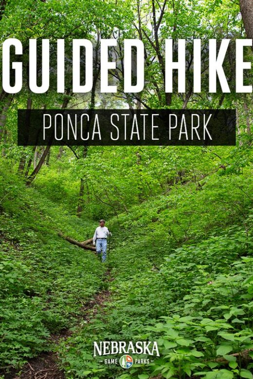 A man hikes through the lush forest on a trail at Ponca State Park.