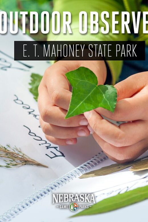 A child holds a leaf that they are putting in their nature journal.