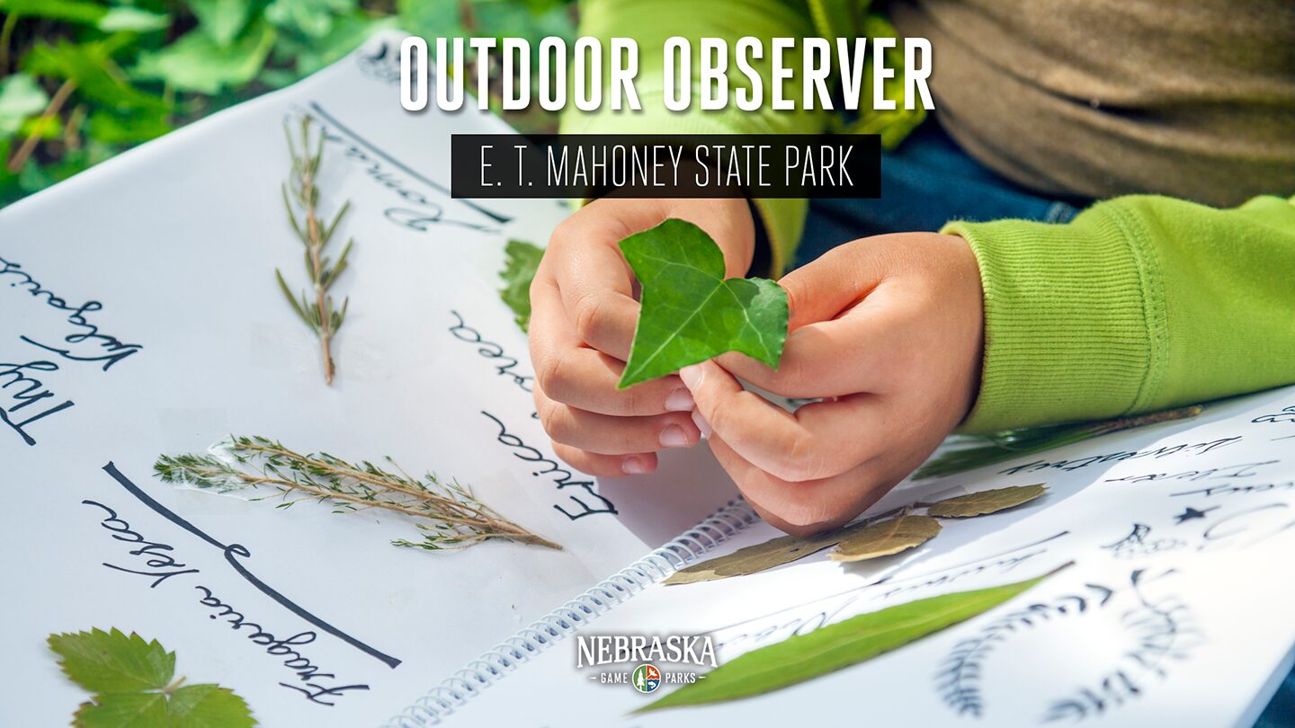 A child holds a leaf that they are putting in their nature journal.