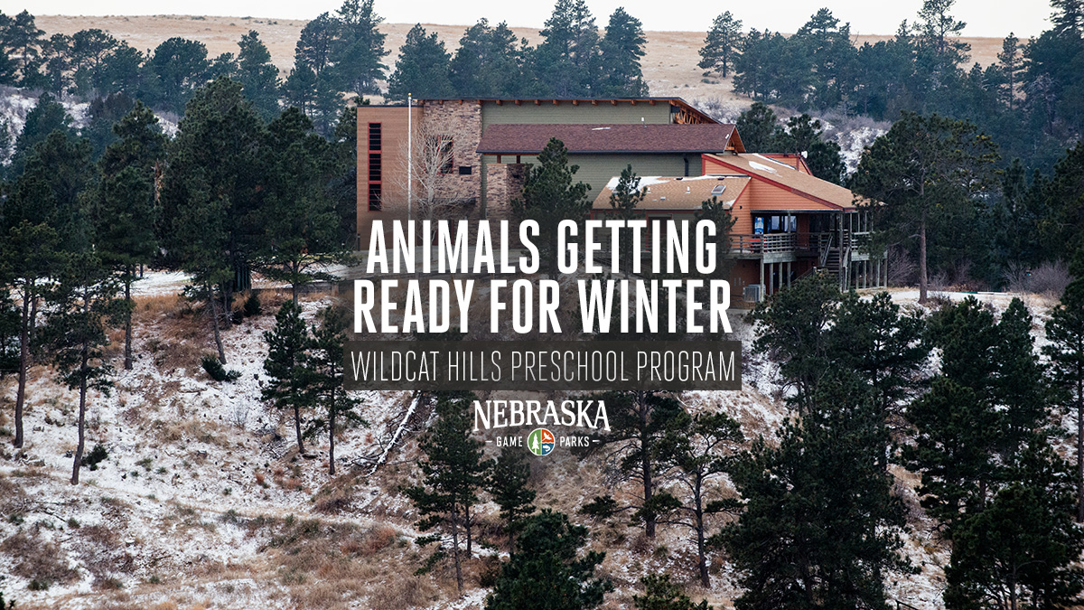 An outdoor winter scene of Wildcat Hills Nature Center.