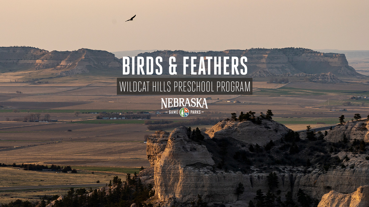 Birds & Feathers event graphic featuring a scenic view of Wildcat Hills State Recreation Area with a bird soaring overhead.