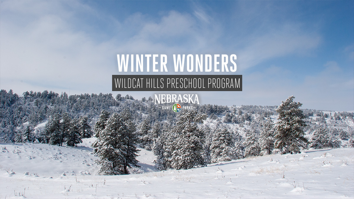 A winter scene of the forest-covered buttes at Wildcat Hills State Recreation Area.