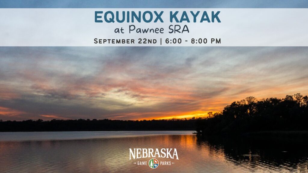 A sun sets over a tree-lined lake during summertime.