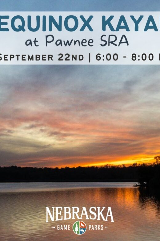 A sun sets over a tree-lined lake during summertime.