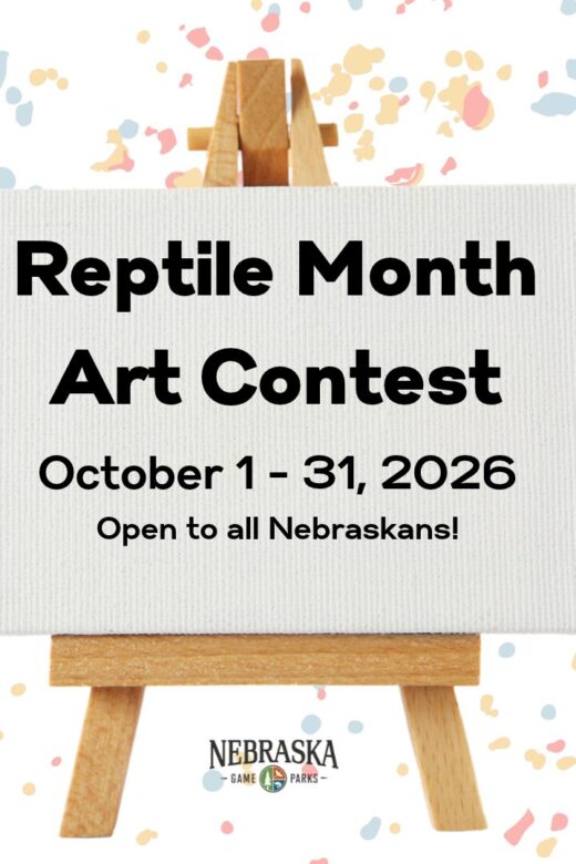 Event graphic for a Reptile Month Art Contest.