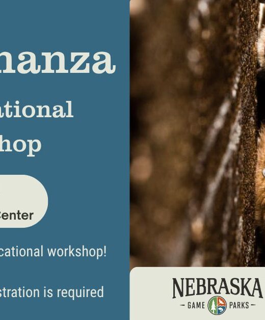 Event banner featuring a photo of bats next to event details.