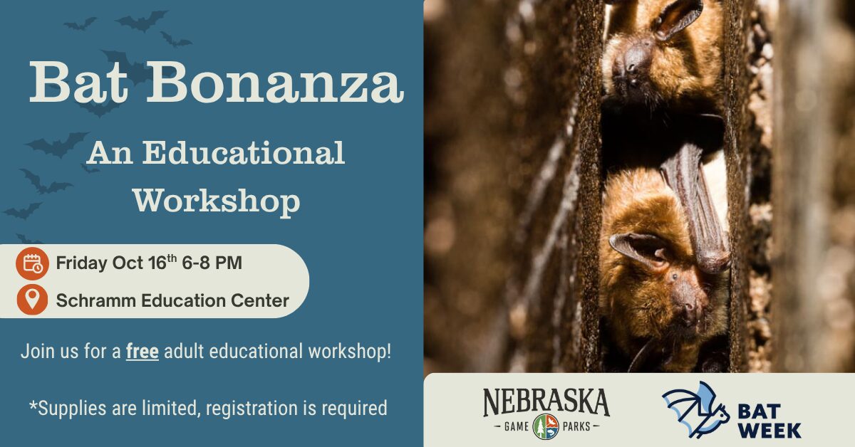 Event banner featuring a photo of bats next to event details.