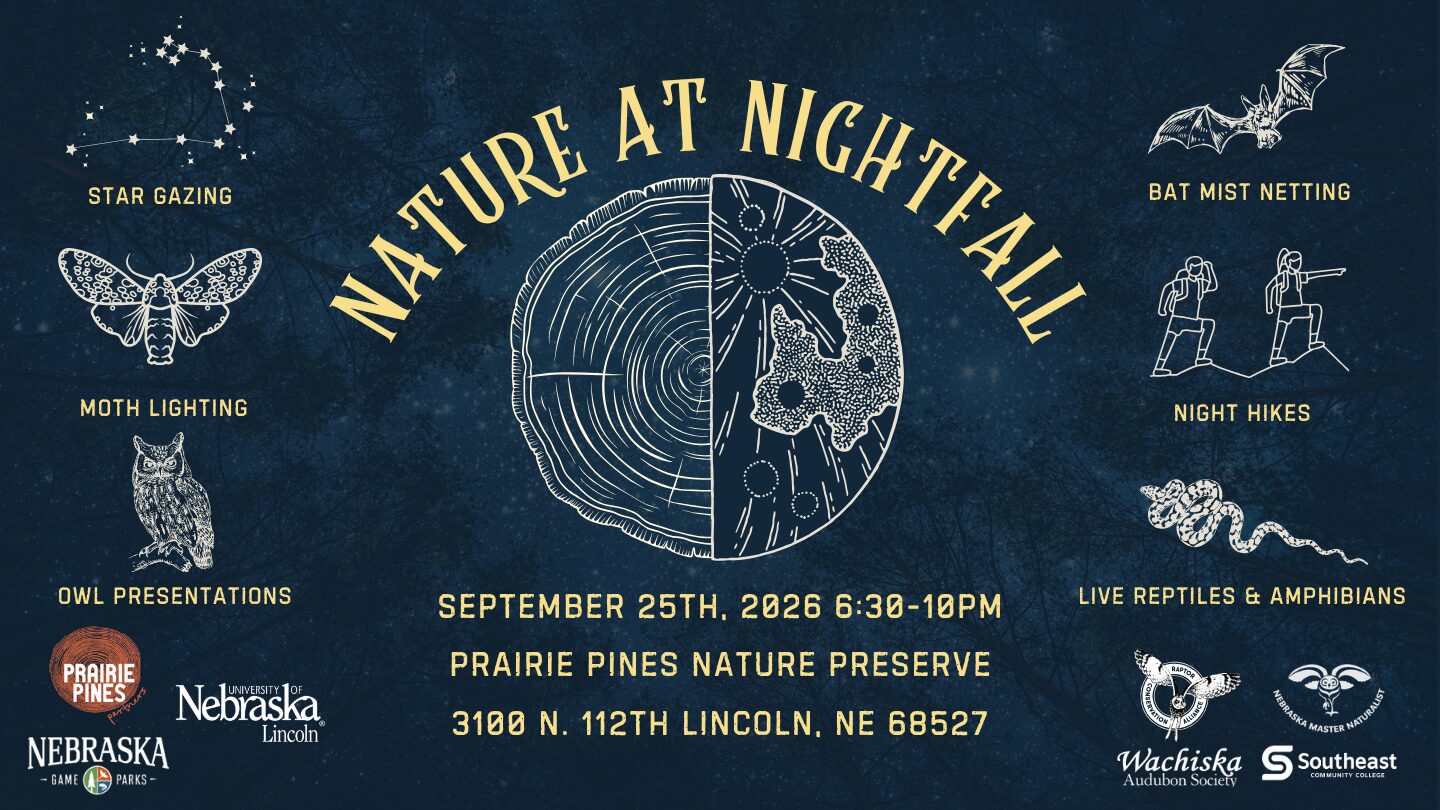 Event graphic for Nature at Nightfall featuring a moon and nature related icons.