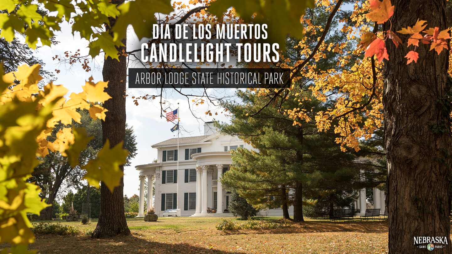 A view of Arbor Lodge Mansion in the fall through the trees.