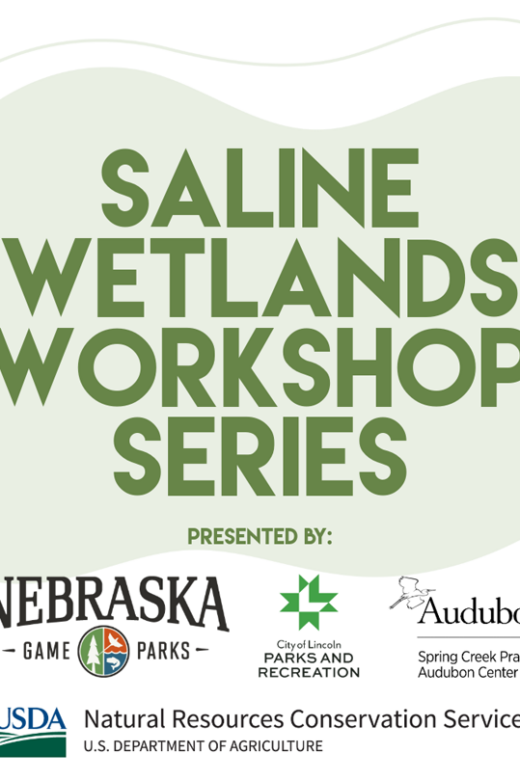 Event graphic for a Saline Wetlands Workshop at Marsh Wren Saline Wetland.