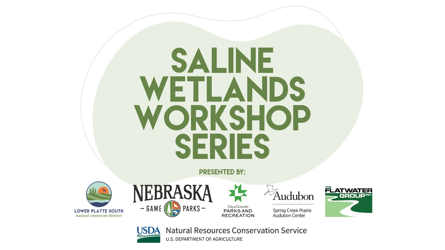 Event graphic for a Saline Wetlands Workshop at Marsh Wren Saline Wetland.
