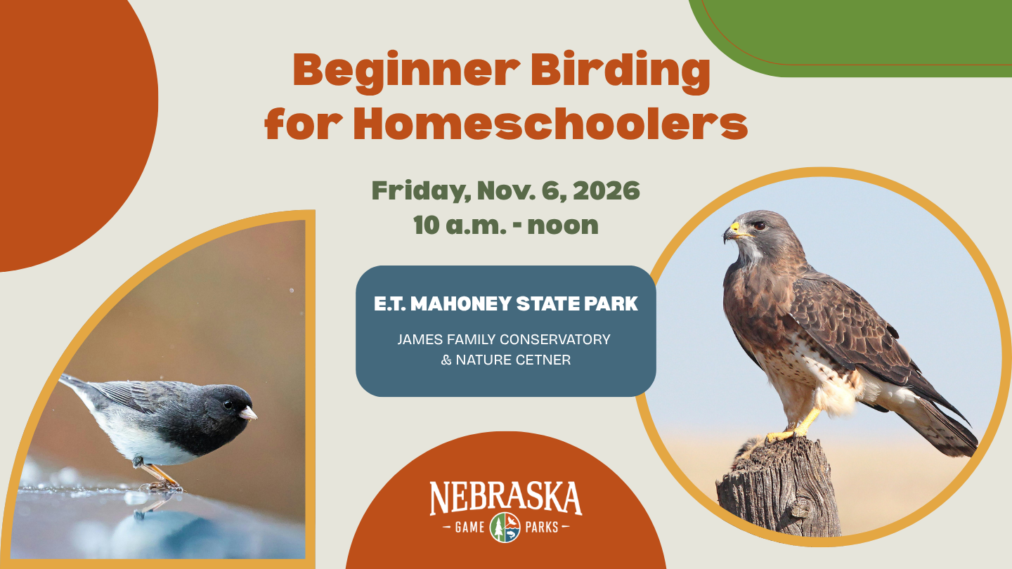 Event graphic for Beginner Birding for Homeschoolers
