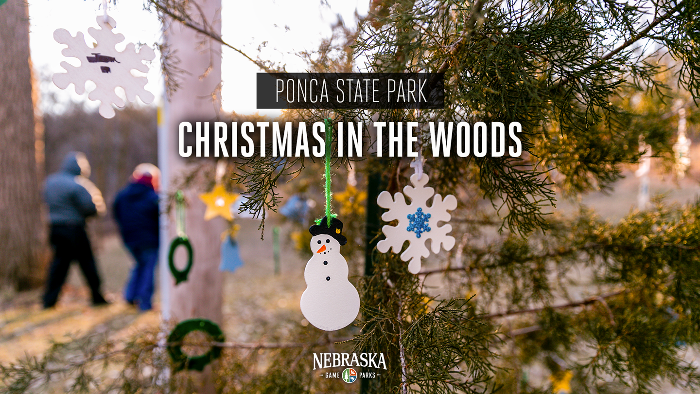 A tree in a park decorated with holiday ornaments with hikers in the background on a trail.